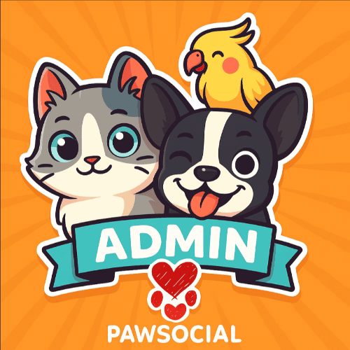 Администрация