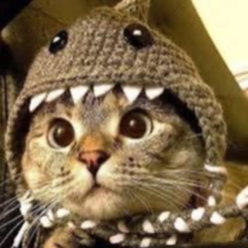 Лёлька Адреева