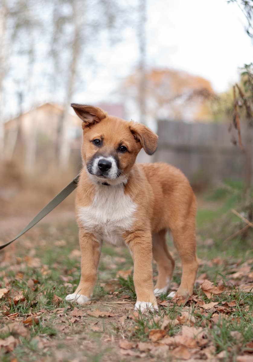 Бэйли медиа 7