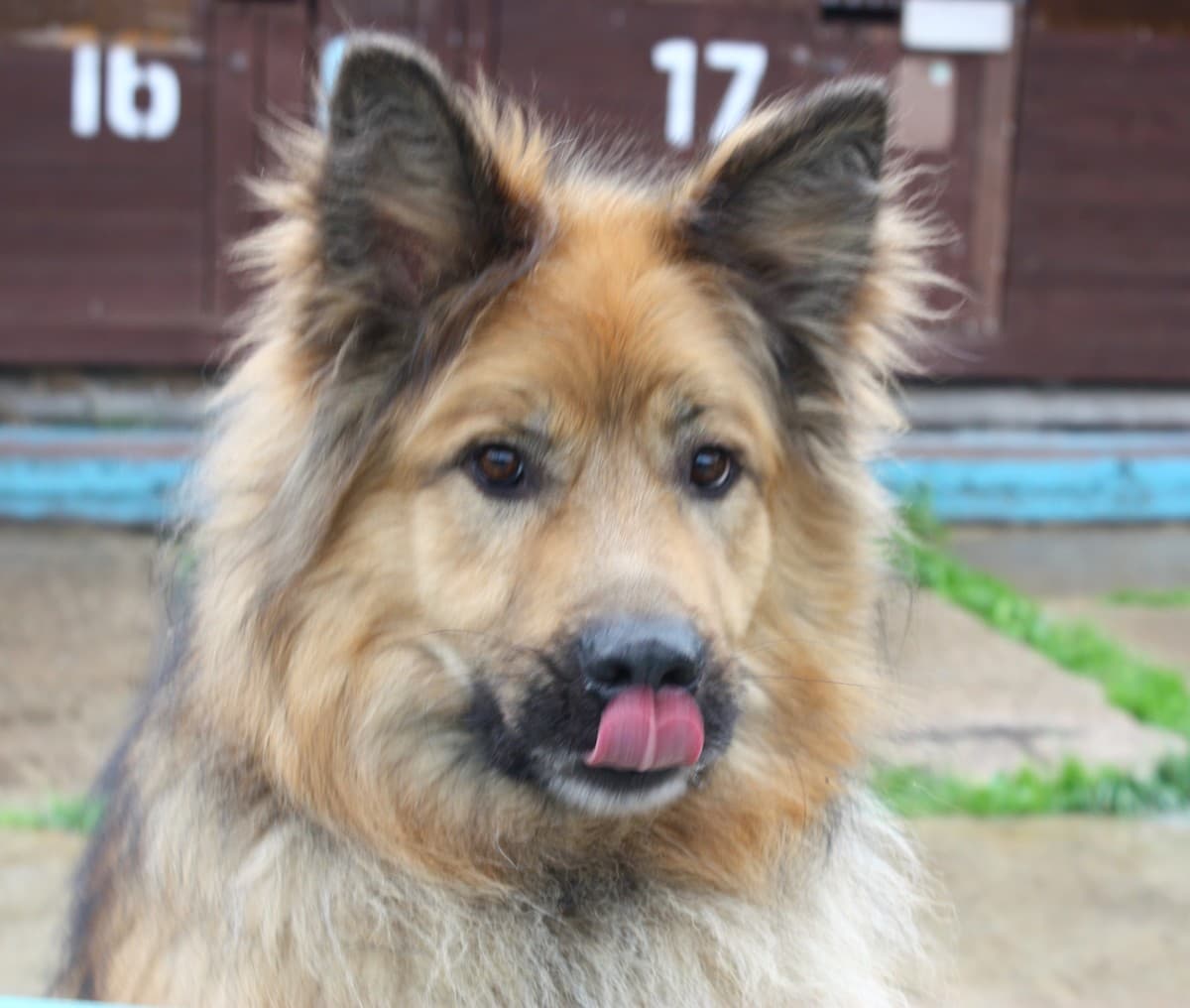 Миша медиа 5