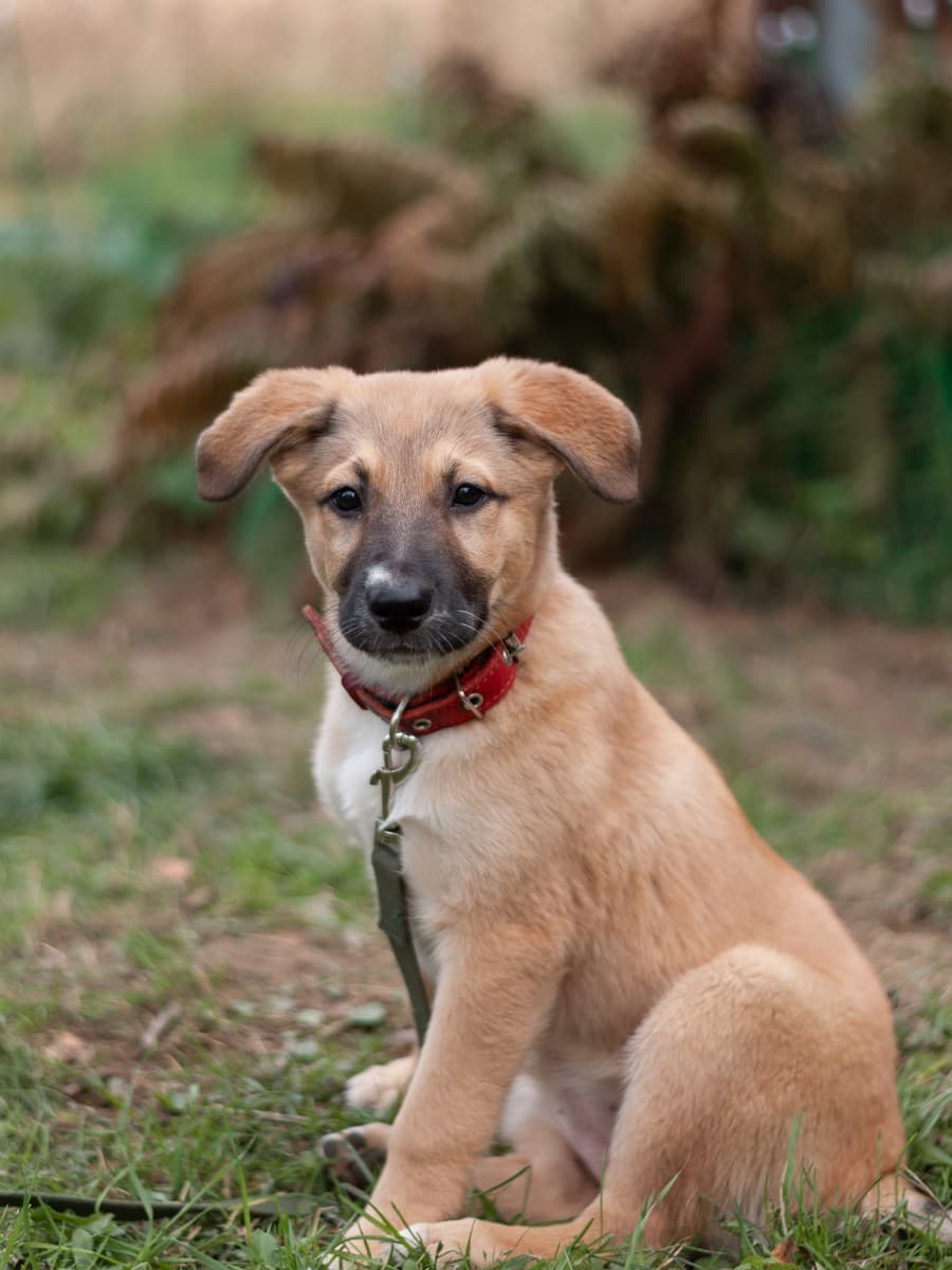 Элли медиа 7