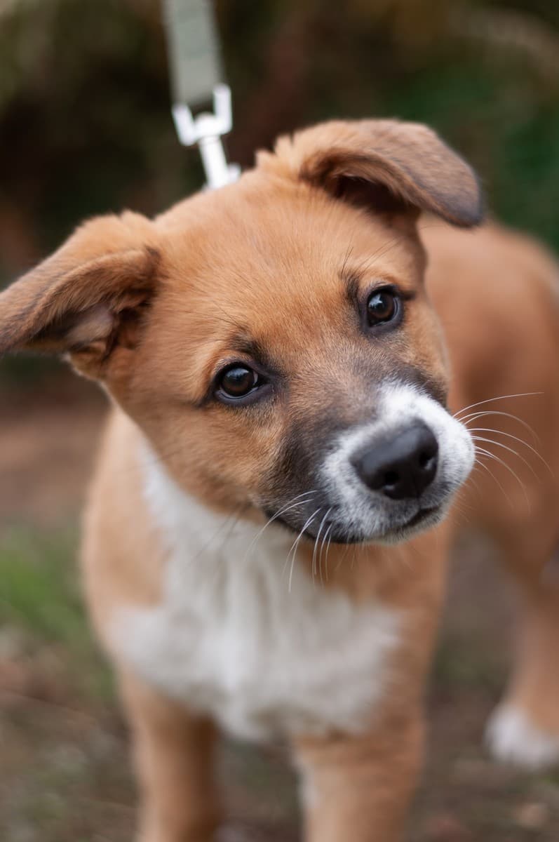 Бэйли медиа 2