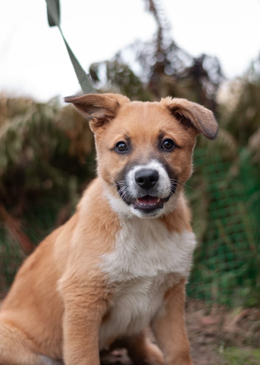 Бэйли медиа 8