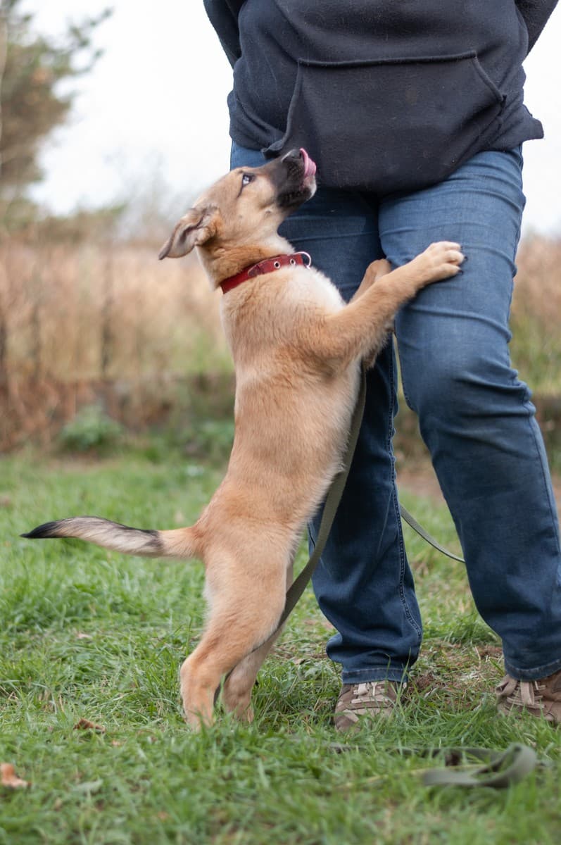 Элли медиа 3