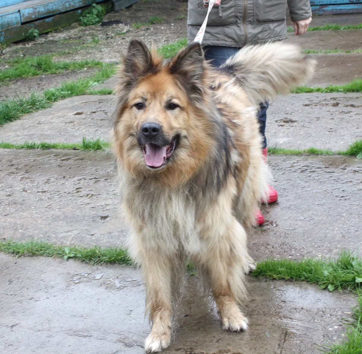 Миша медиа 6