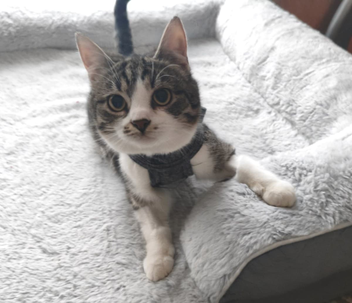 Машенька медиа 5