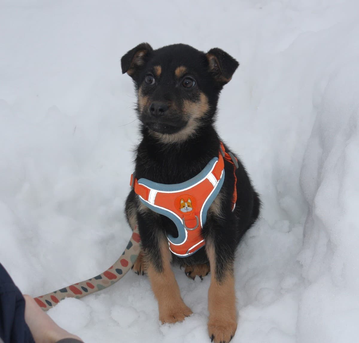 Айка медиа 5