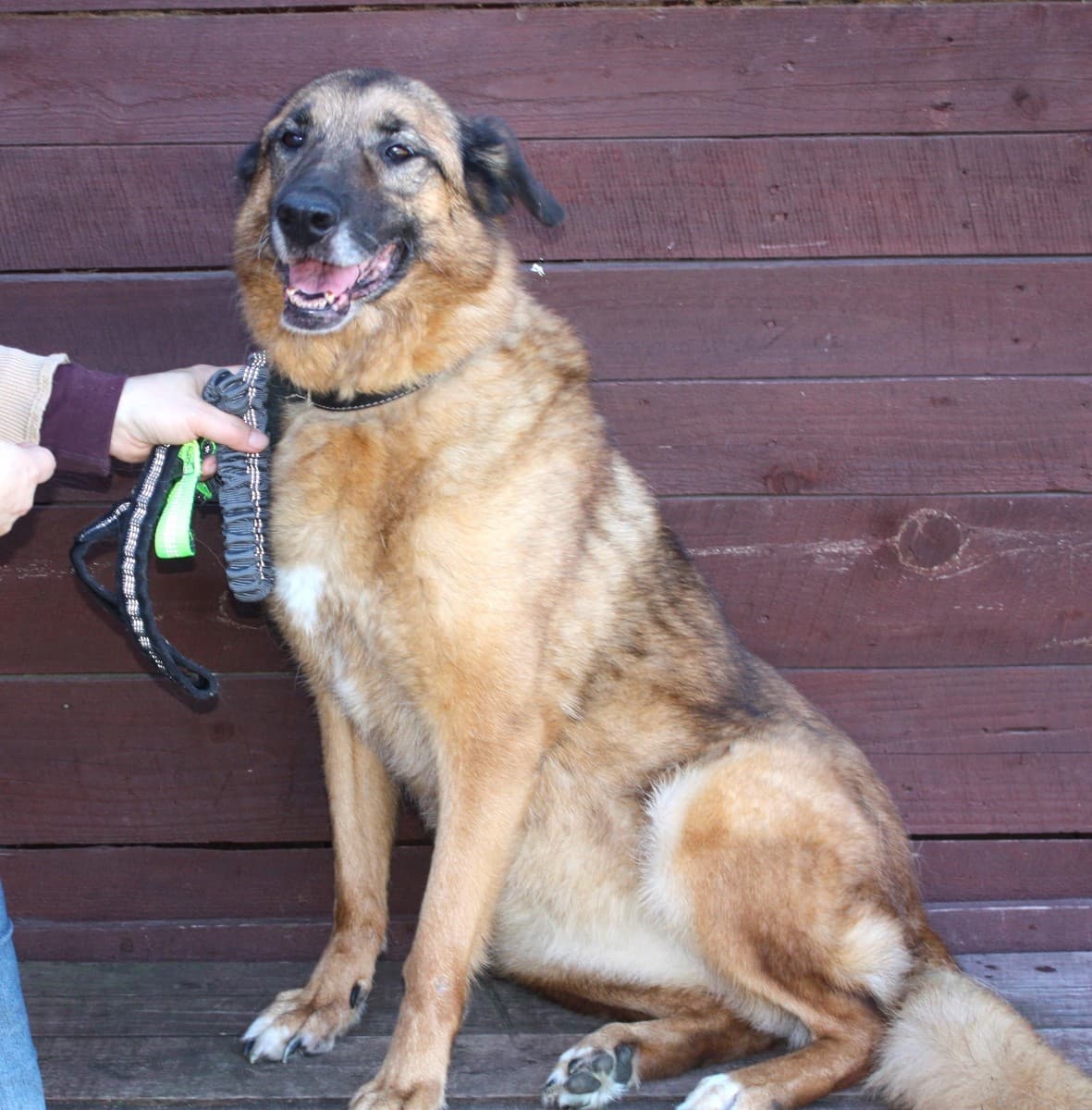 Джульетта медиа 5