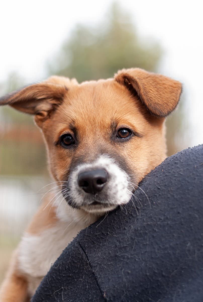 Бэйли медиа 5