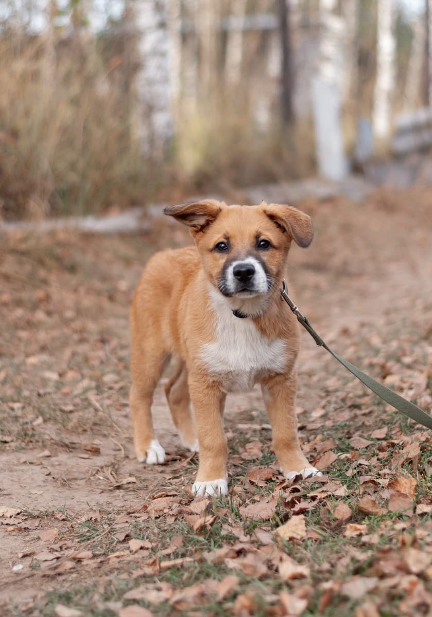 Бэйли медиа 10