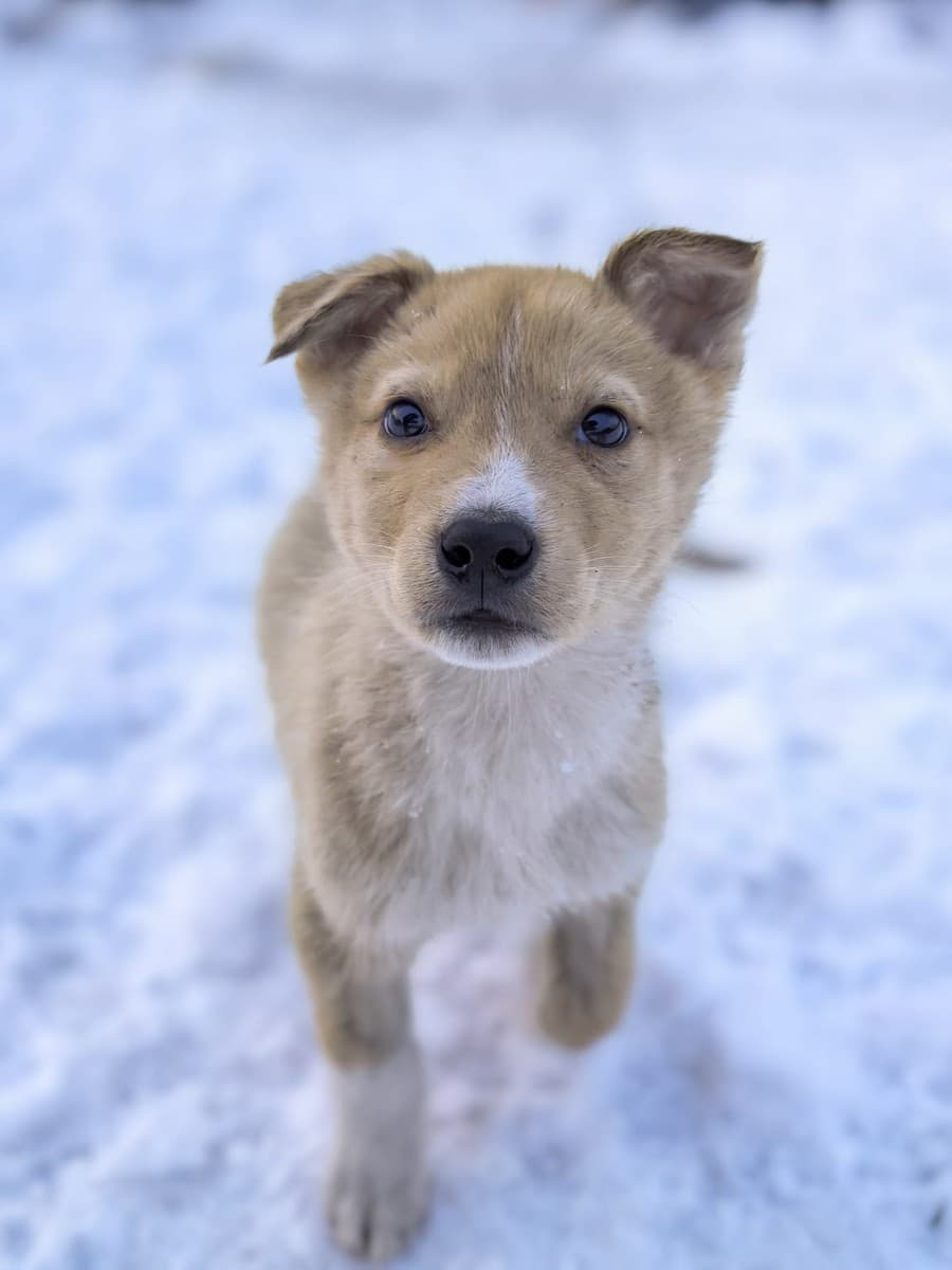 Левушка медиа 5