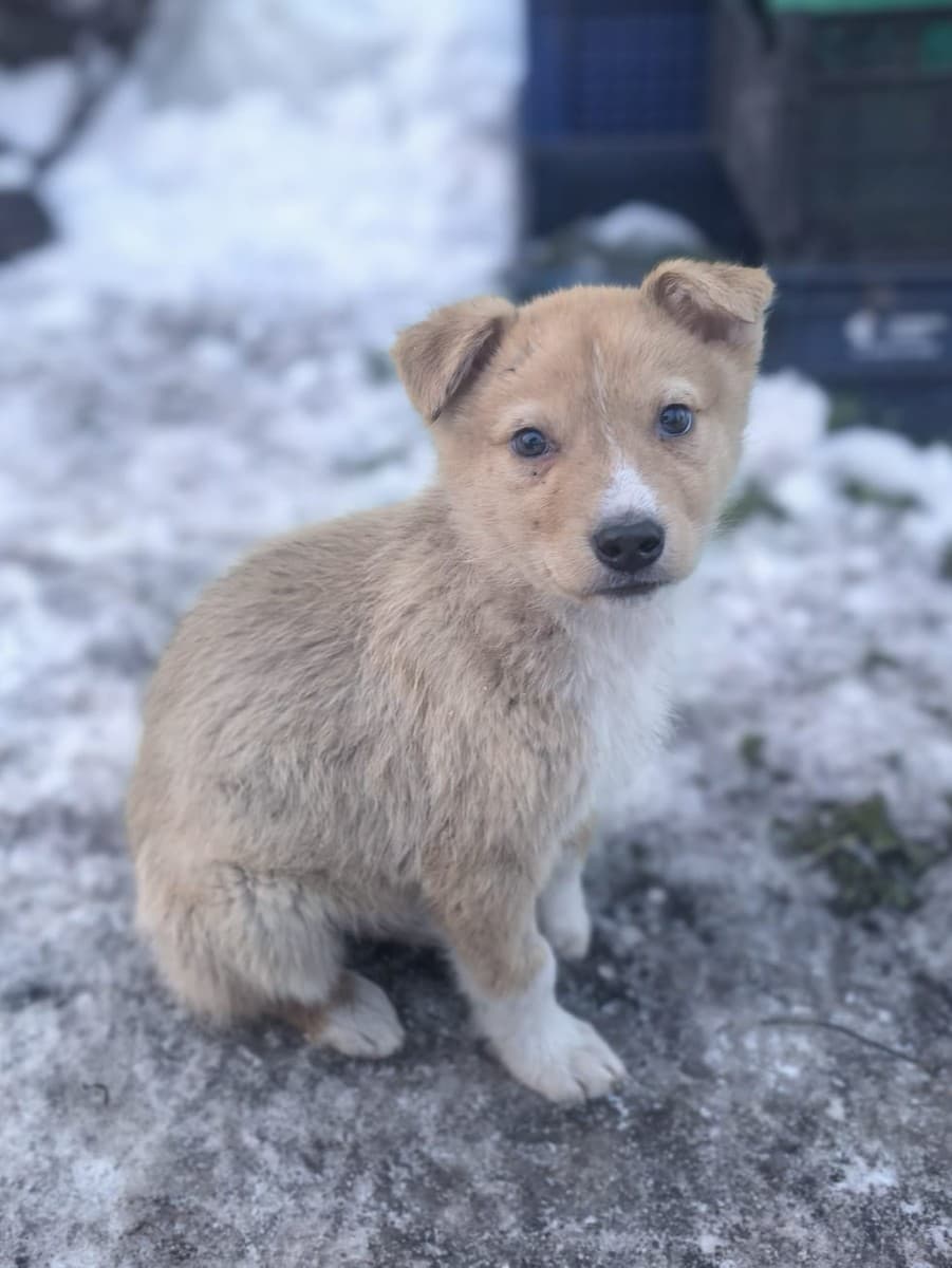 Левушка медиа 8