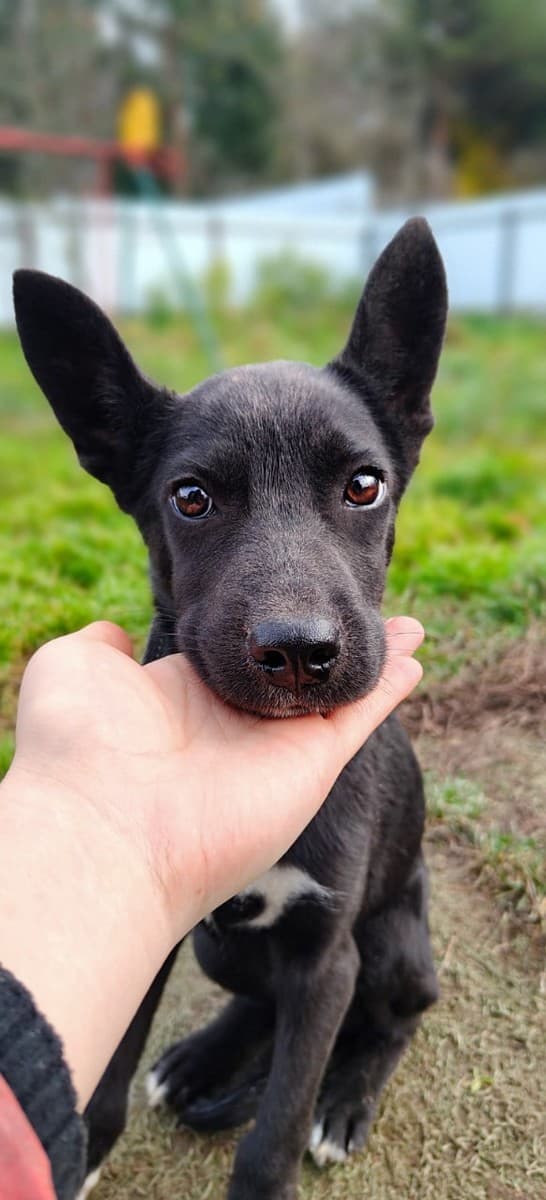 Один медиа 5