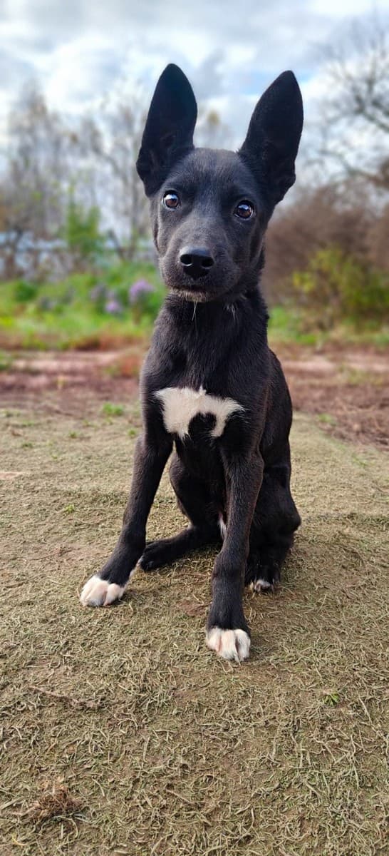 Один медиа 7