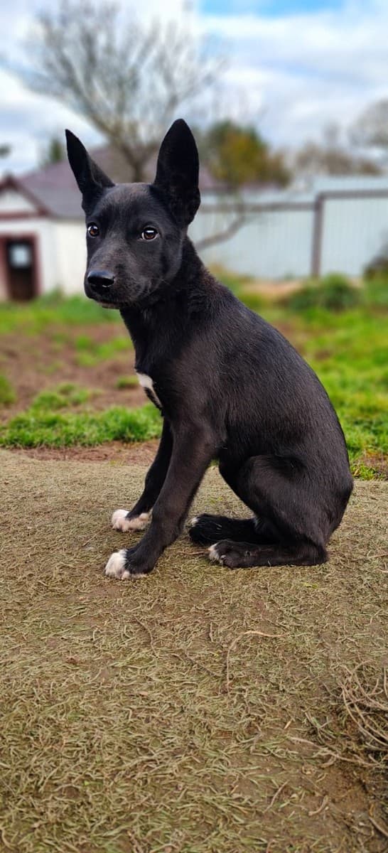 Один медиа 8