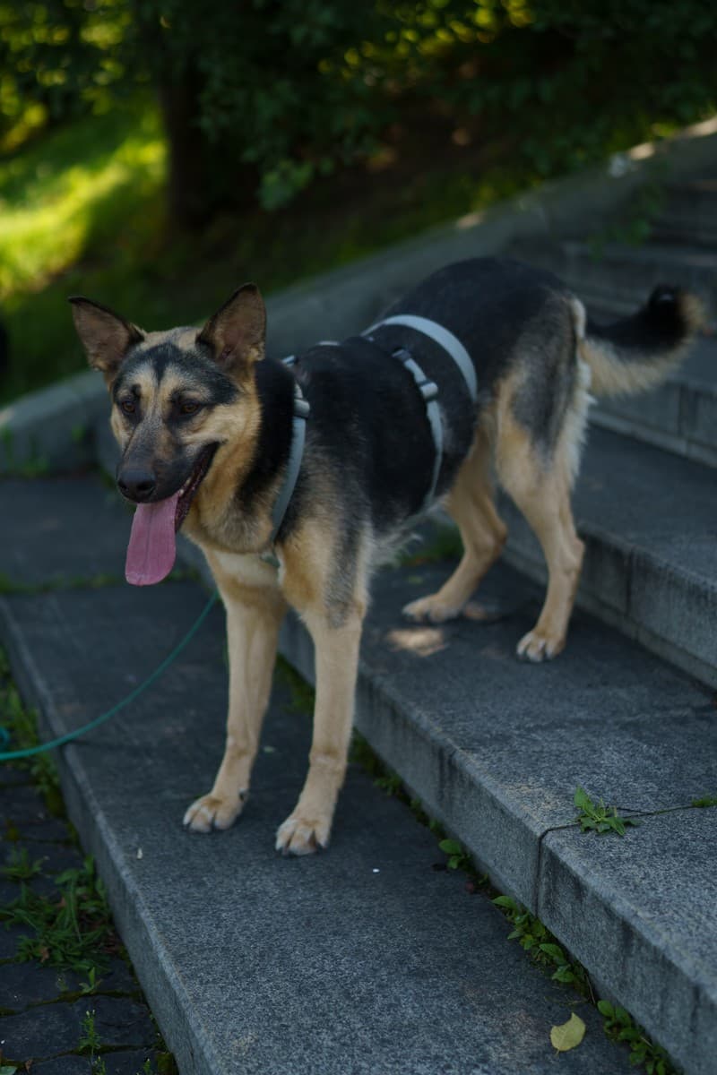 Эрни медиа 6