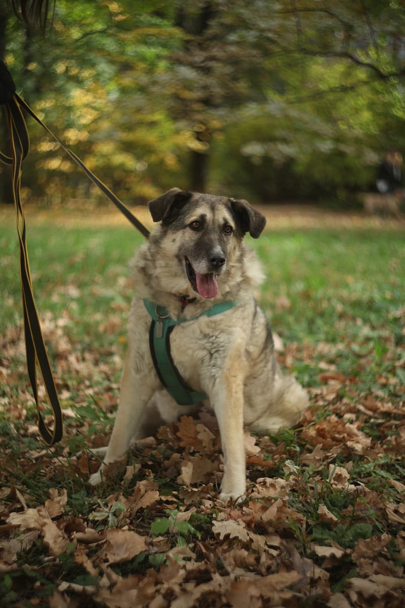 Дарина медиа 2