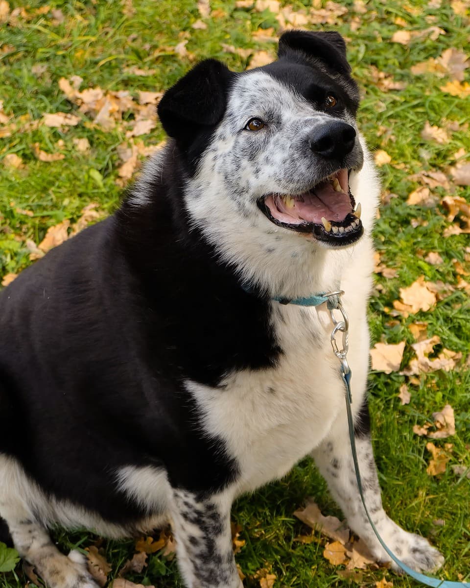 Барон медиа 5