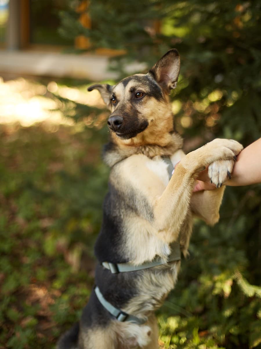 Эрни медиа 8