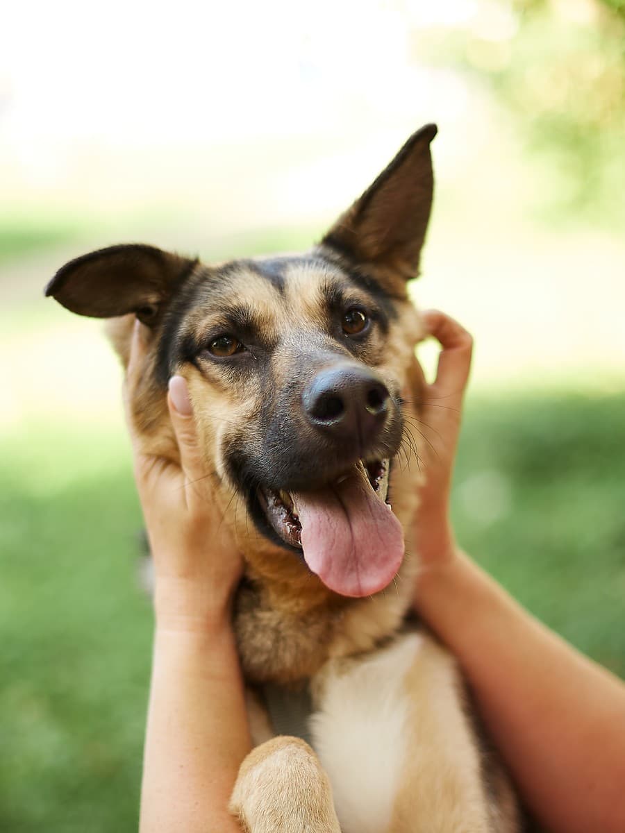 Эрни медиа 7