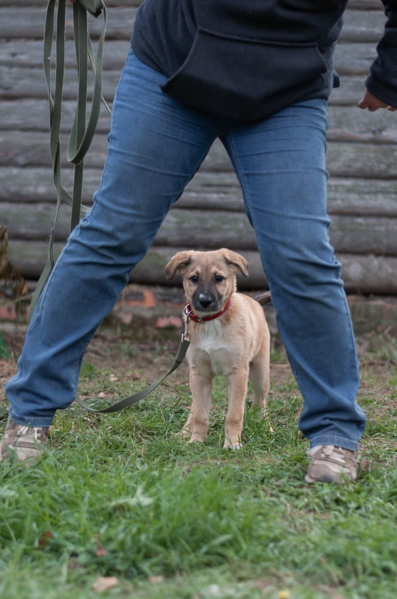 Элли медиа 10