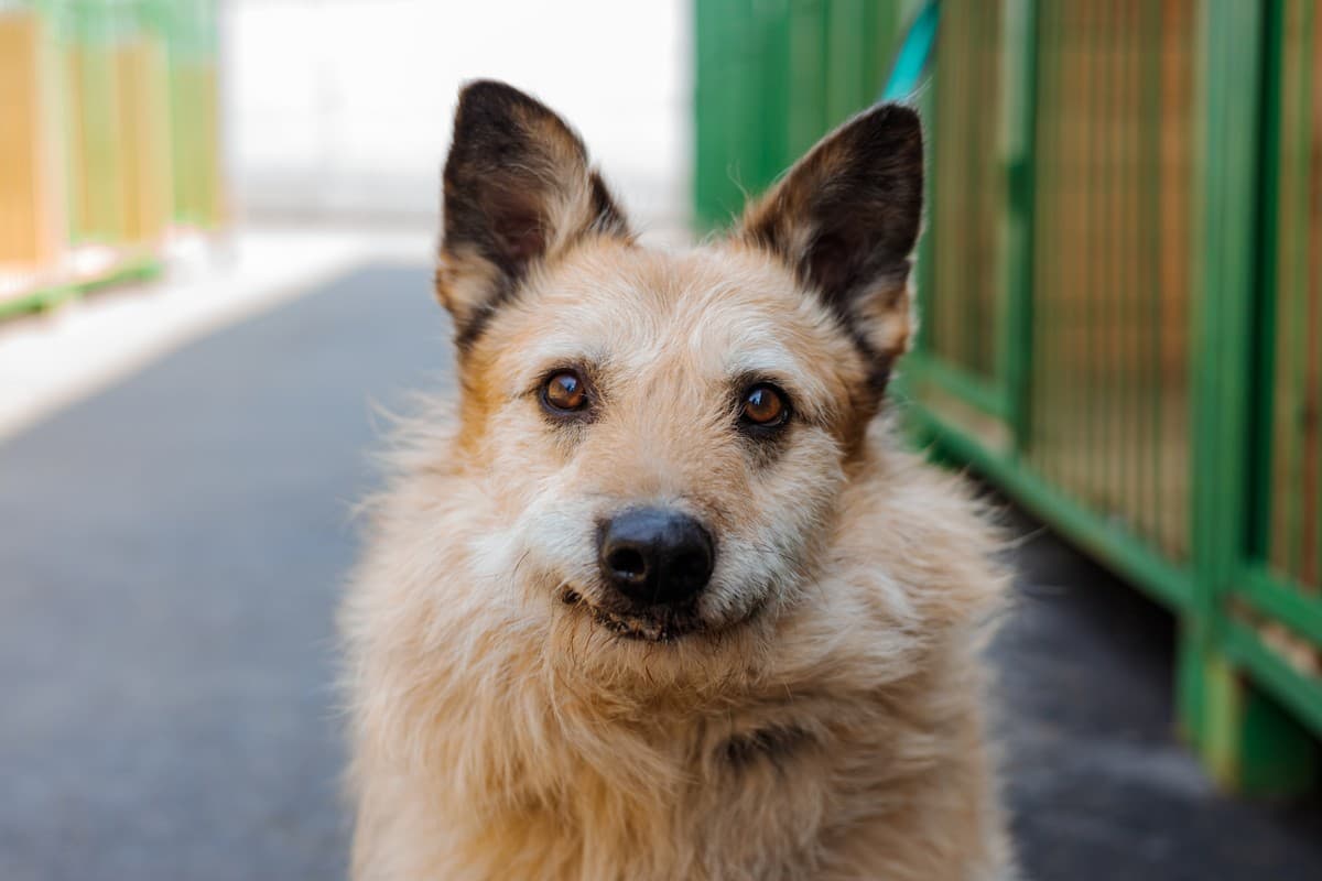 Тотошка медиа 8