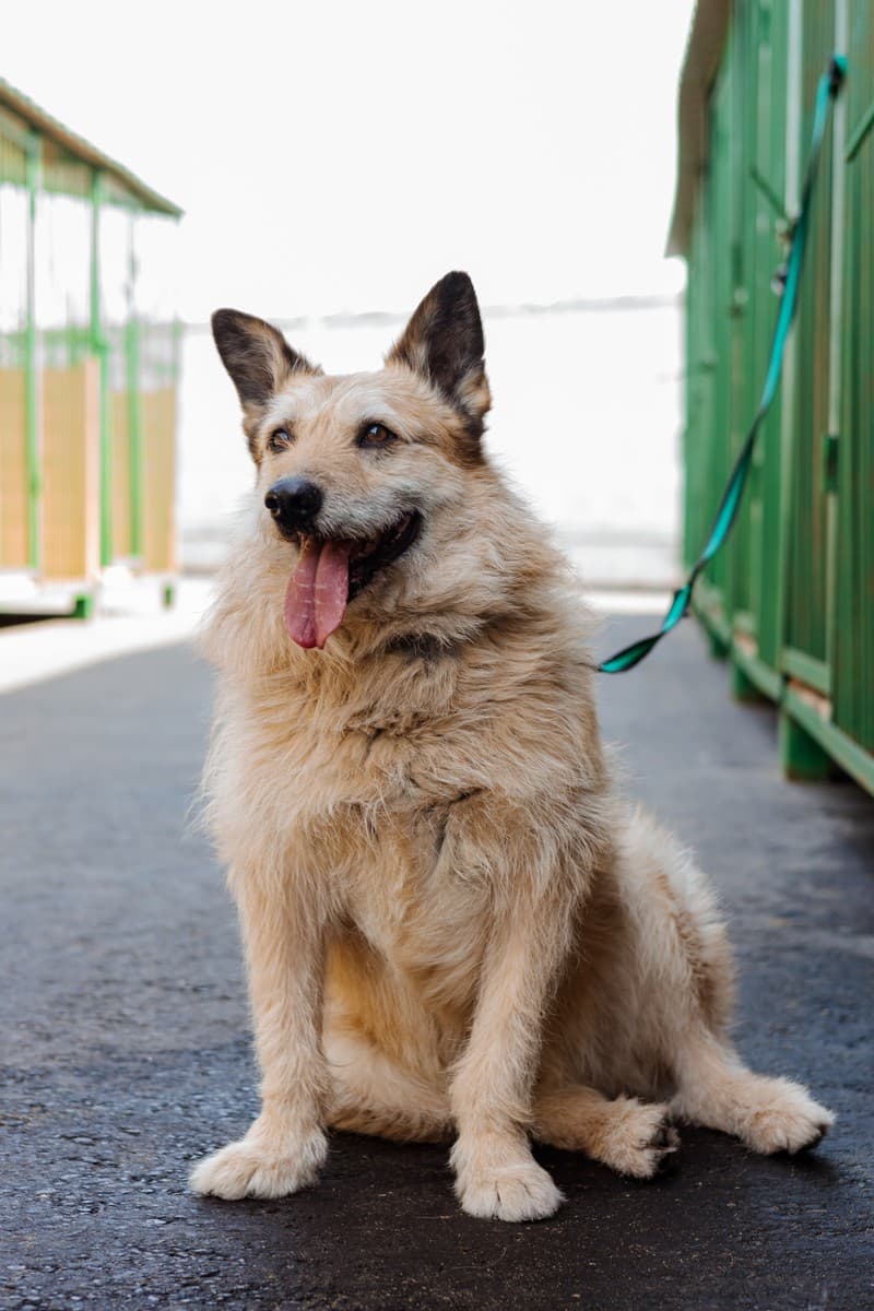 Тотошка медиа 9