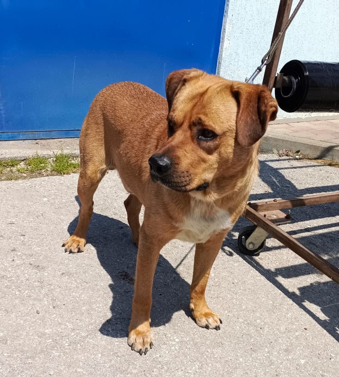 Бутч медиа 2