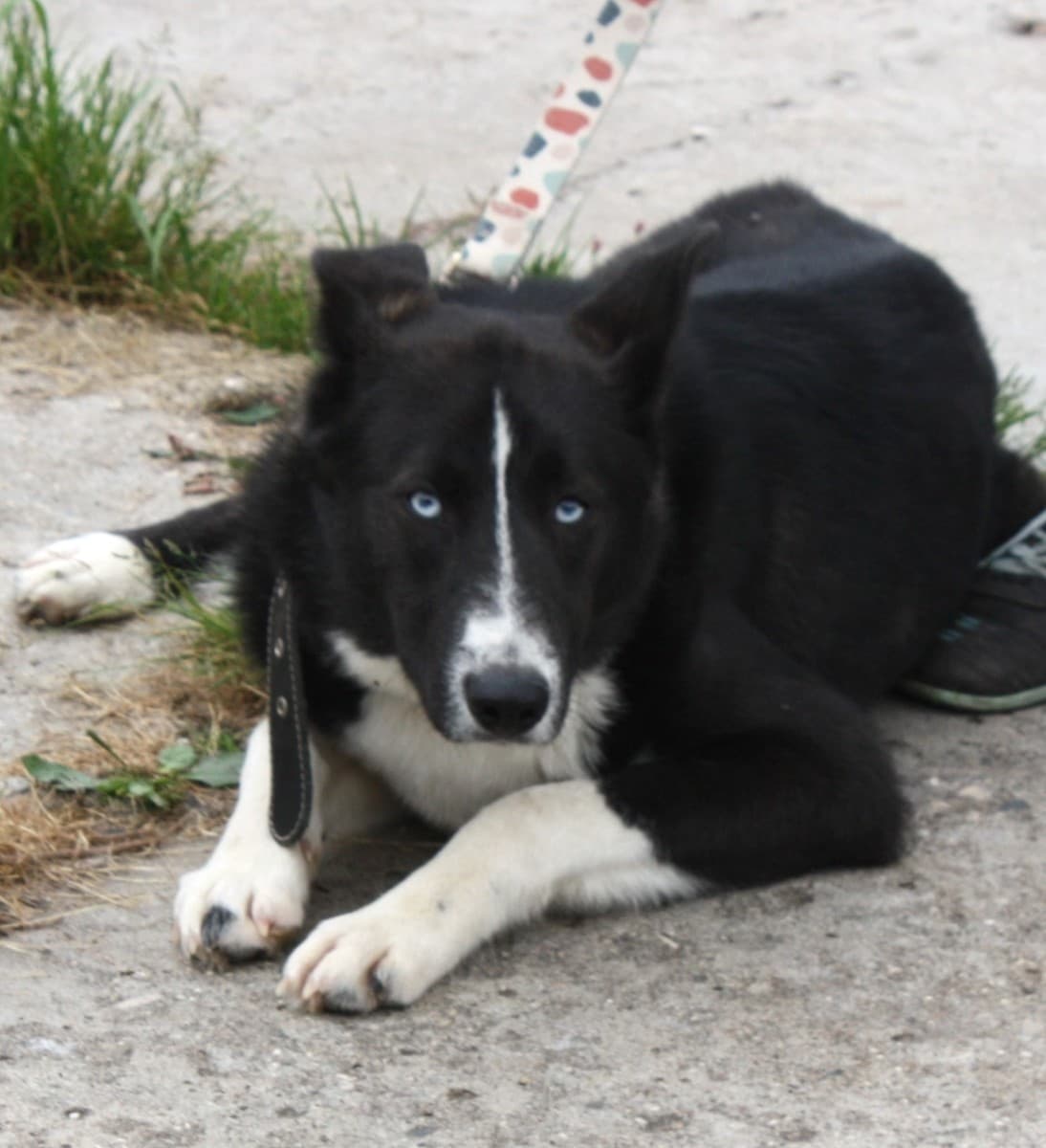 Байкал медиа 4