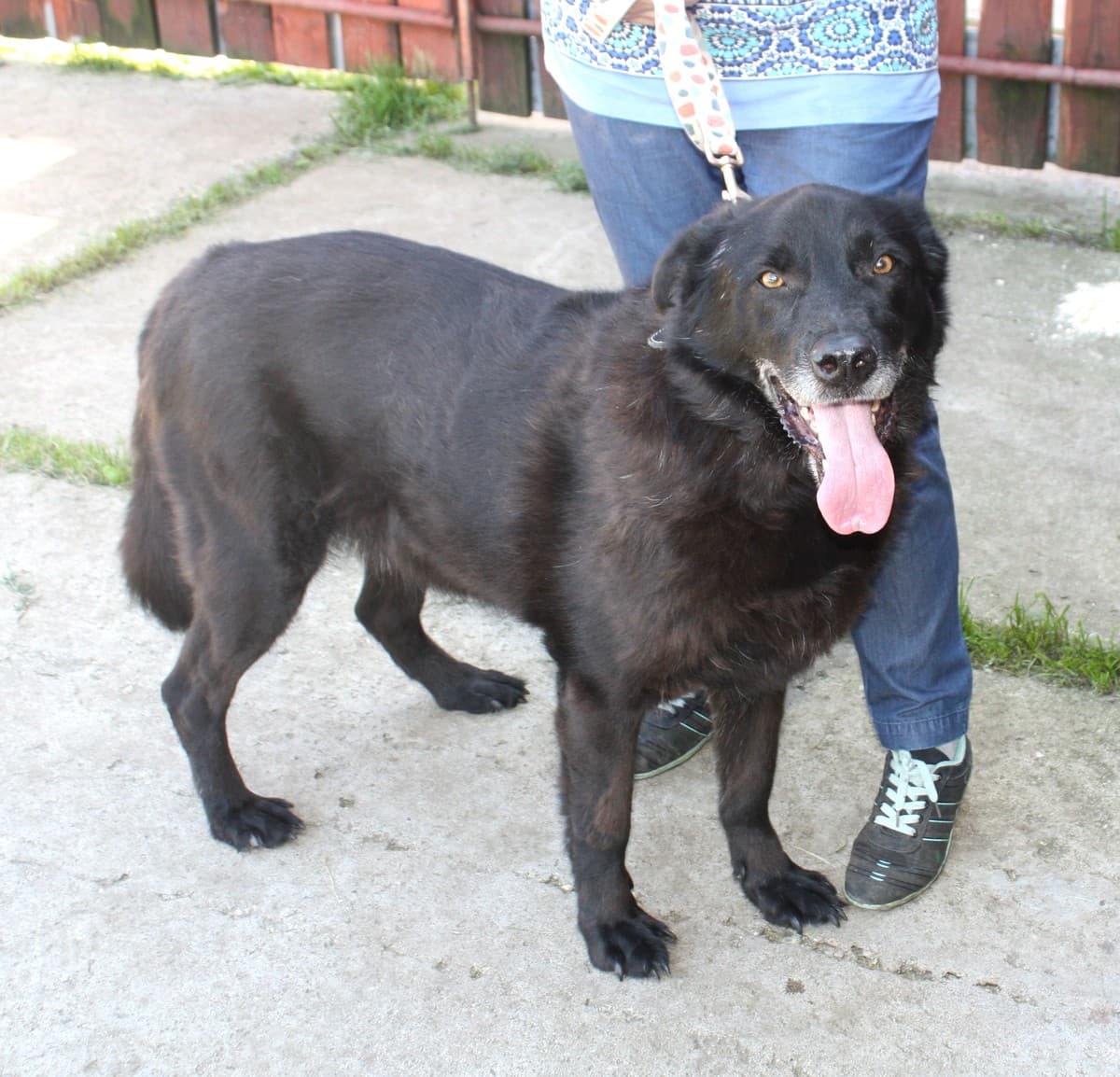 Черныш медиа 5