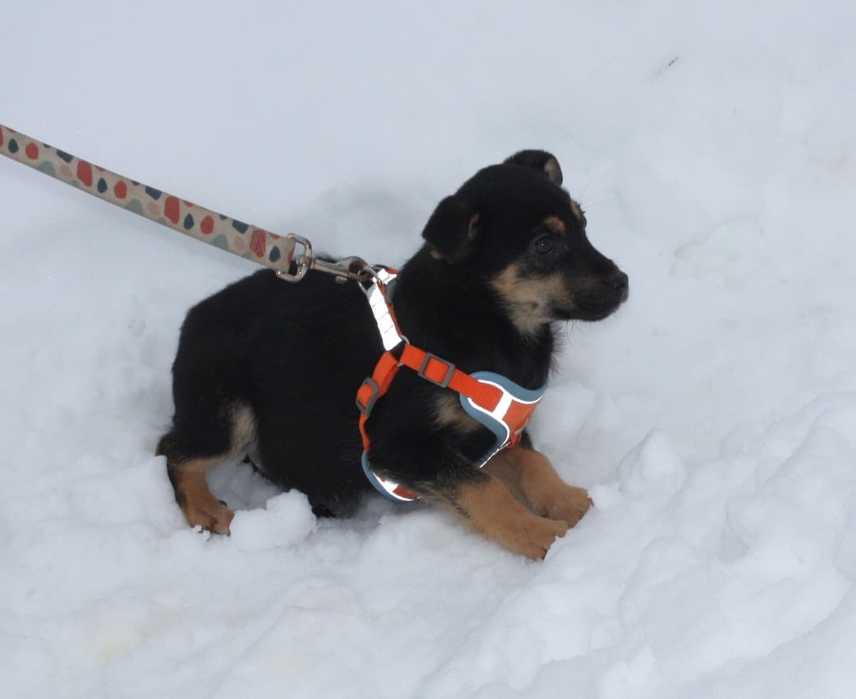 Айка медиа 6