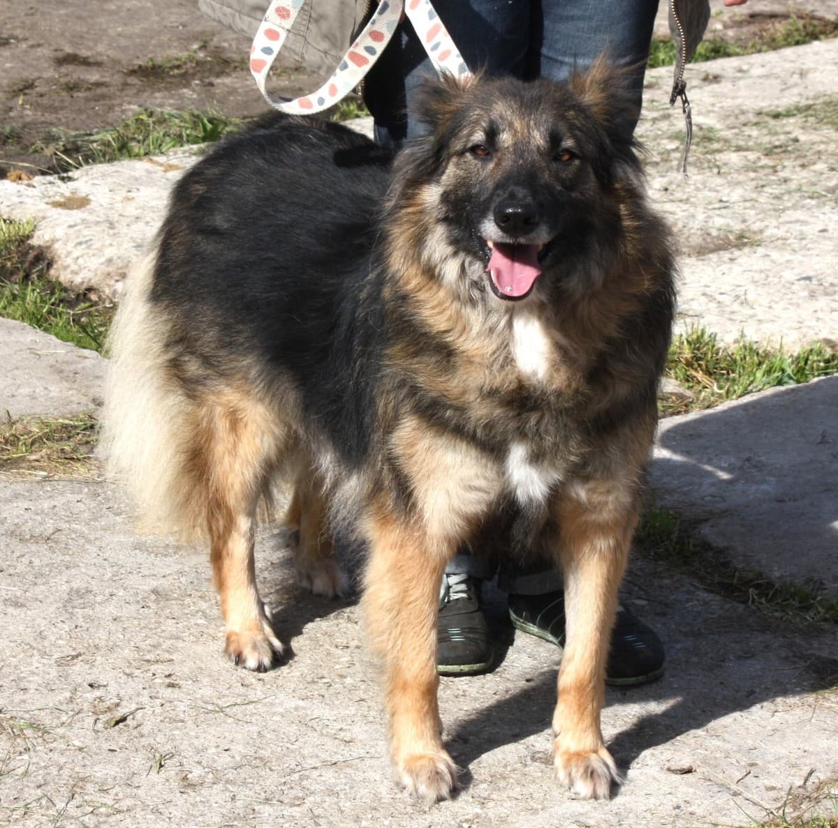 Люся медиа 2