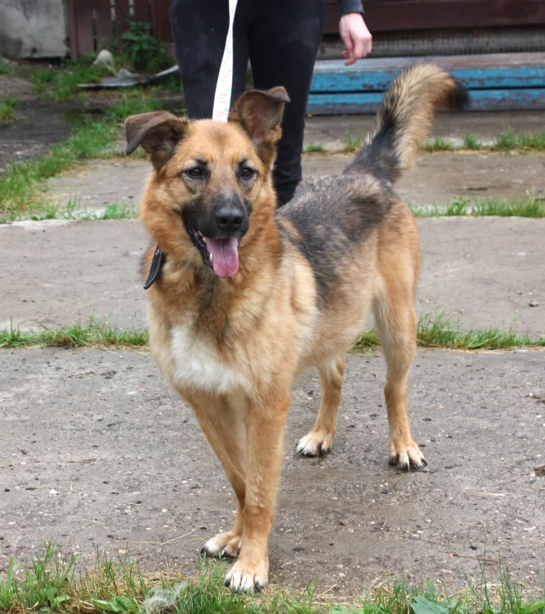 Сэмми медиа 5