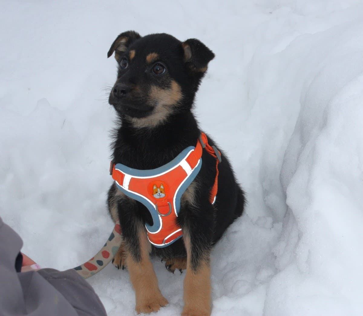 Айка медиа 7