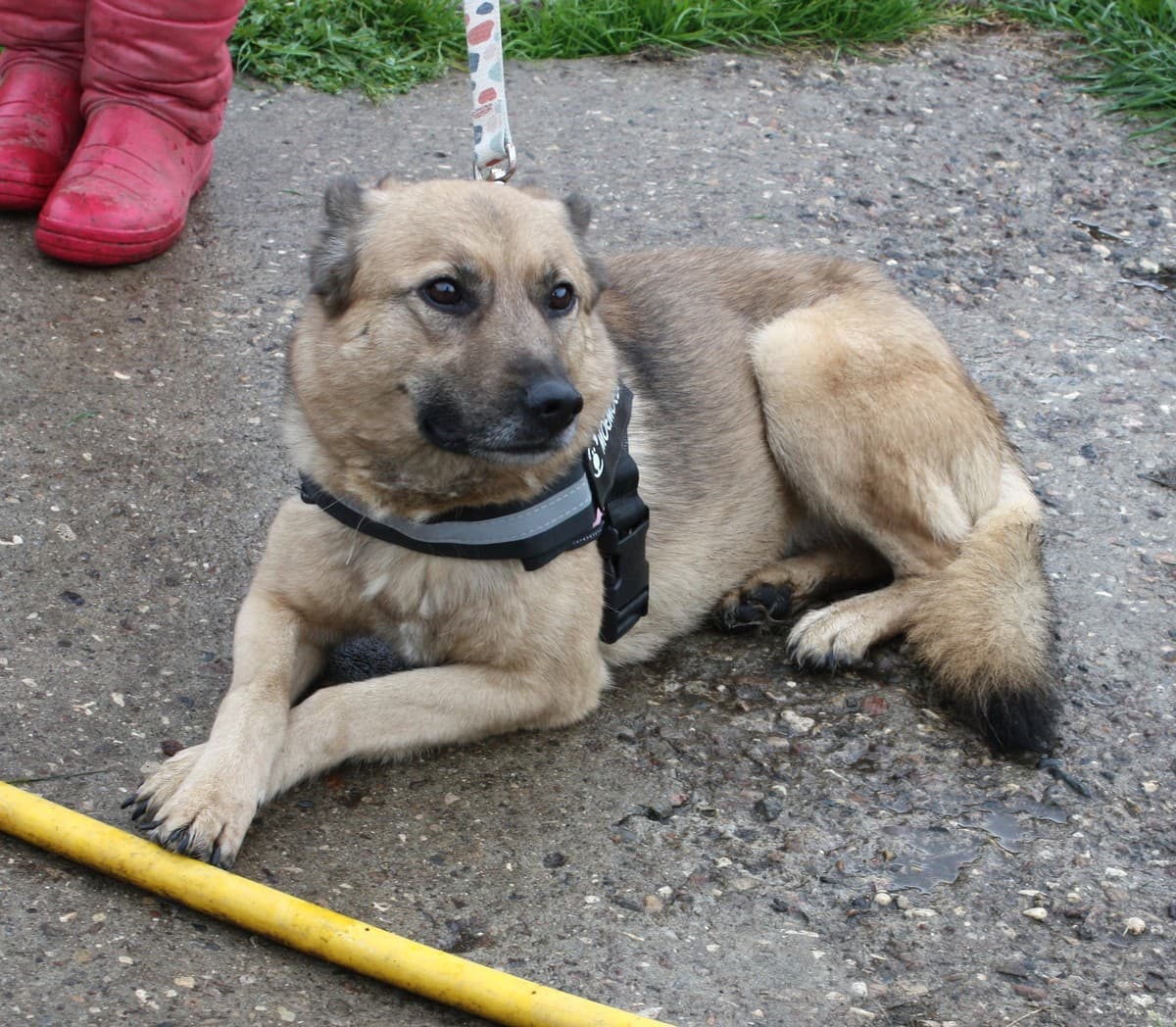 Лада медиа 2