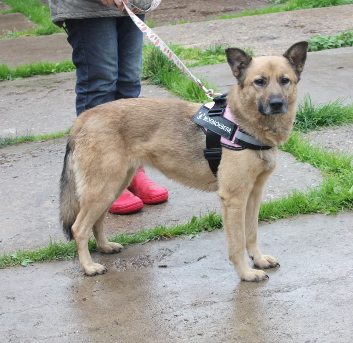 Лада медиа 5