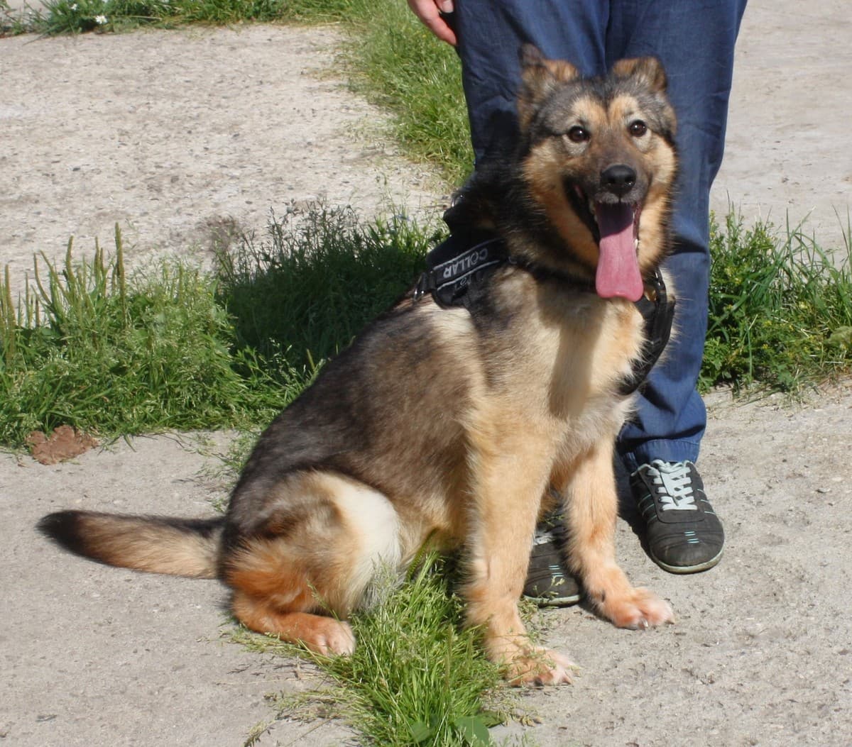 Тимоша медиа 2