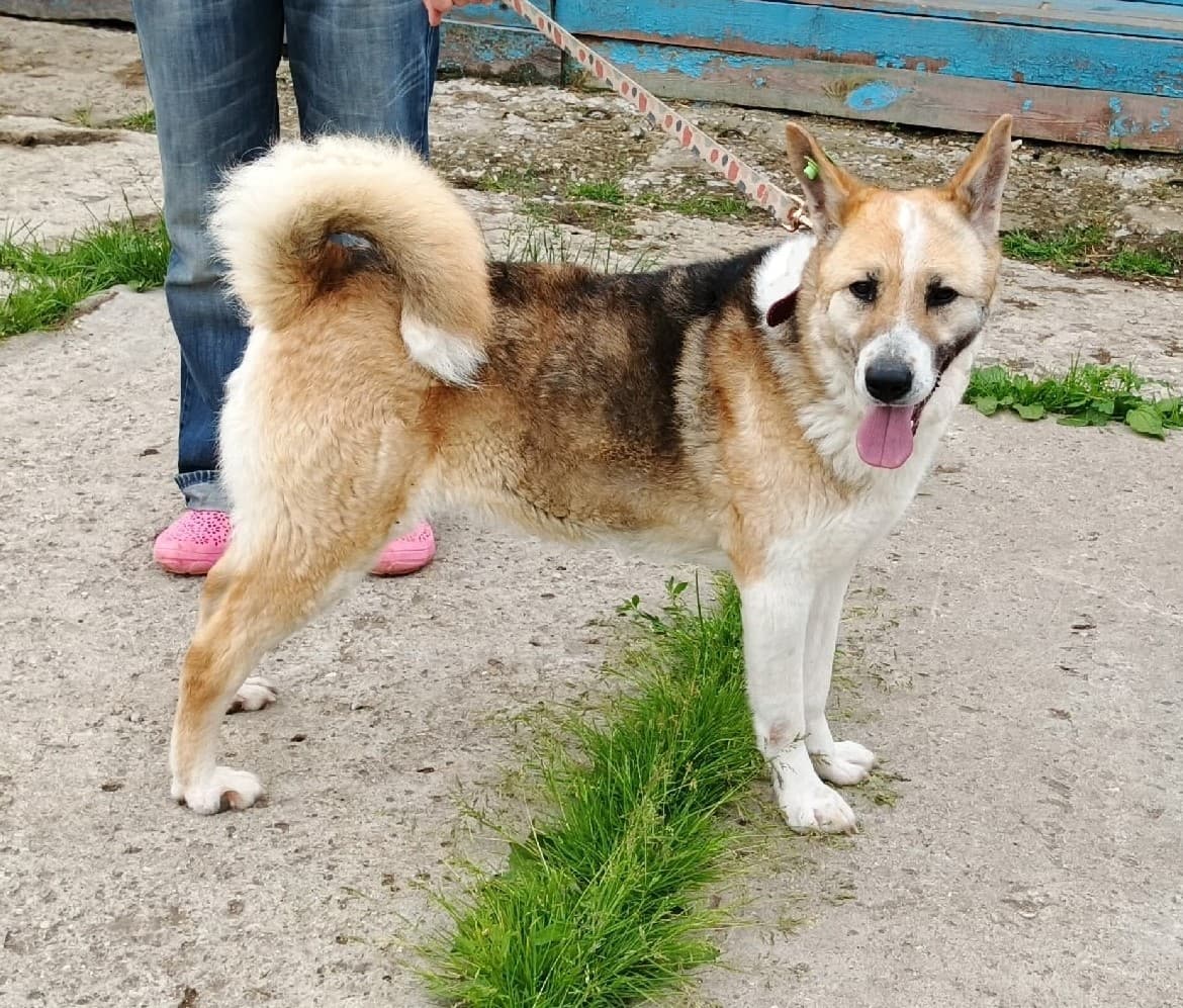 Зира медиа 5