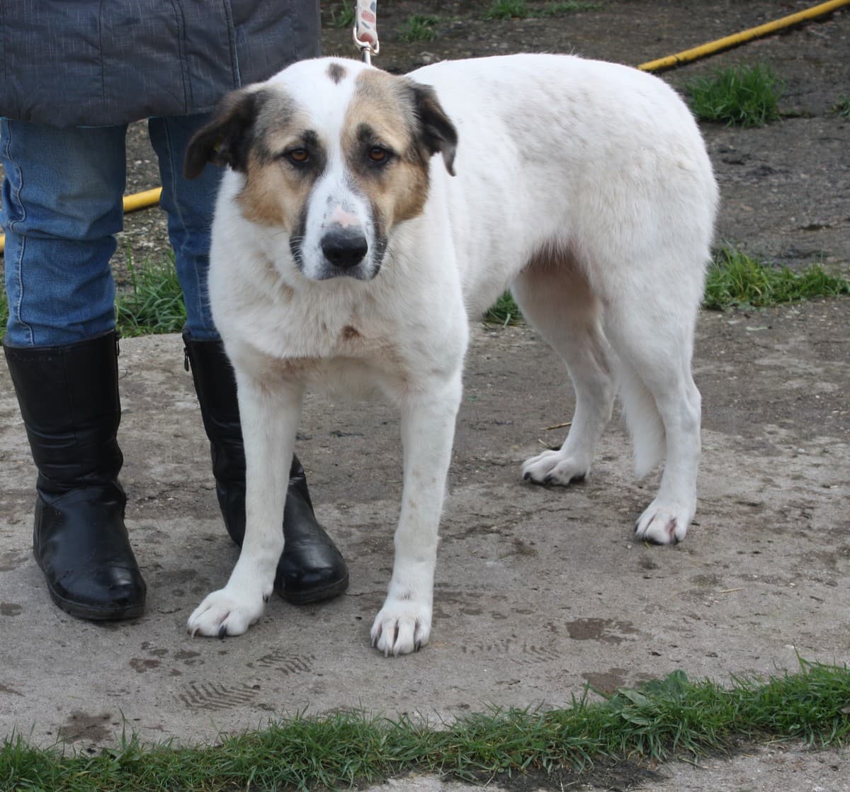 Жасмин медиа 3