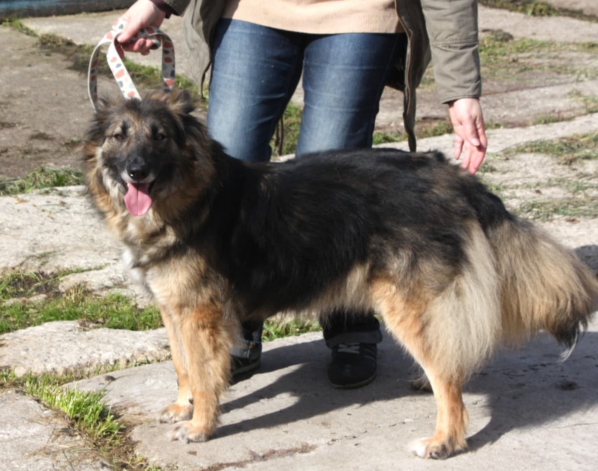 Люся медиа 3