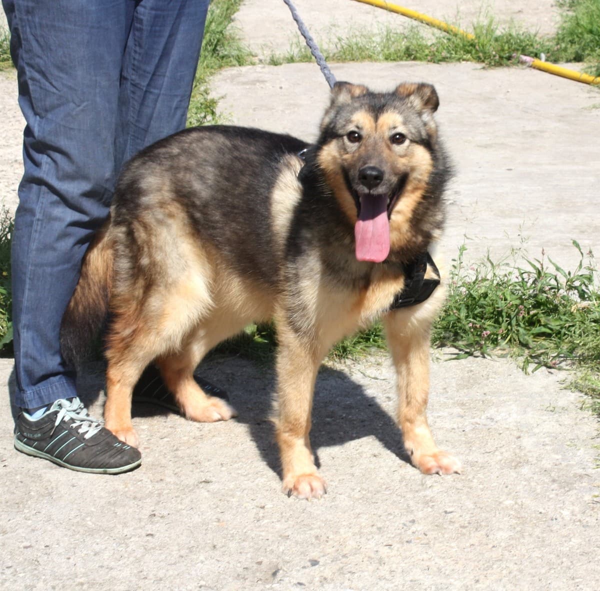 Тимоша медиа 8