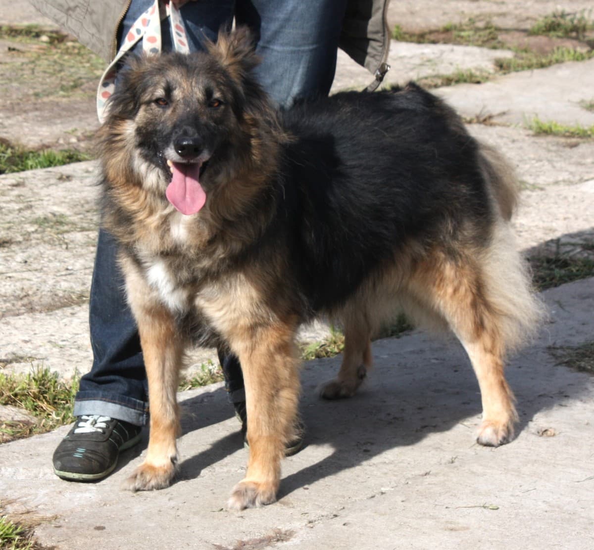 Люся медиа 4