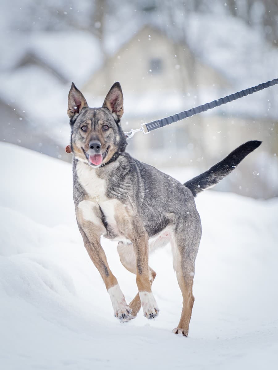 Мэри медиа 5