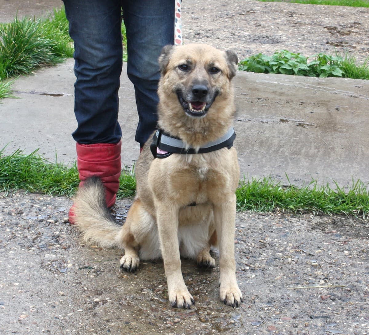 Лада медиа 3