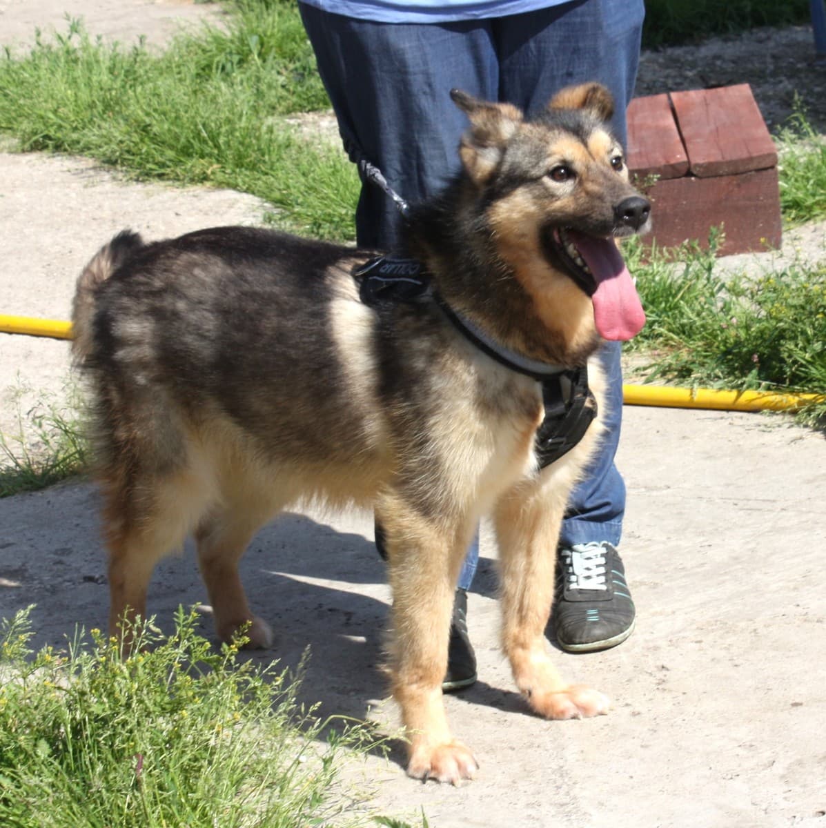 Тимоша медиа 3