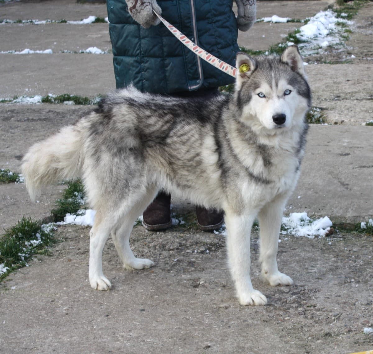 Бриз медиа 5