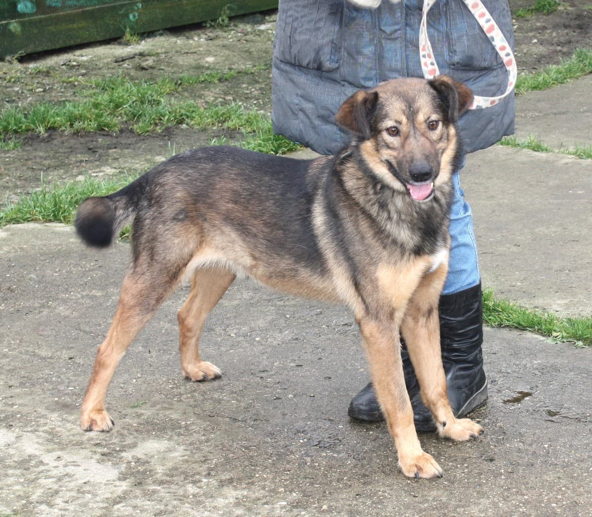 Тимка медиа 5