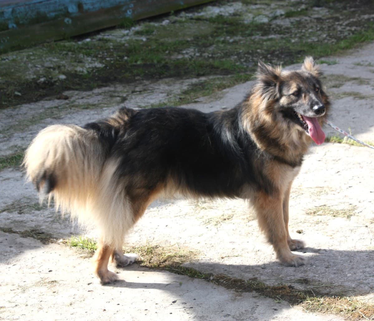 Люся медиа 5