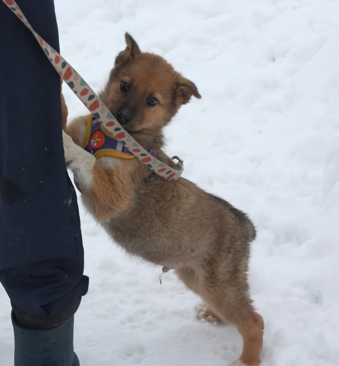 Оскар медиа 5