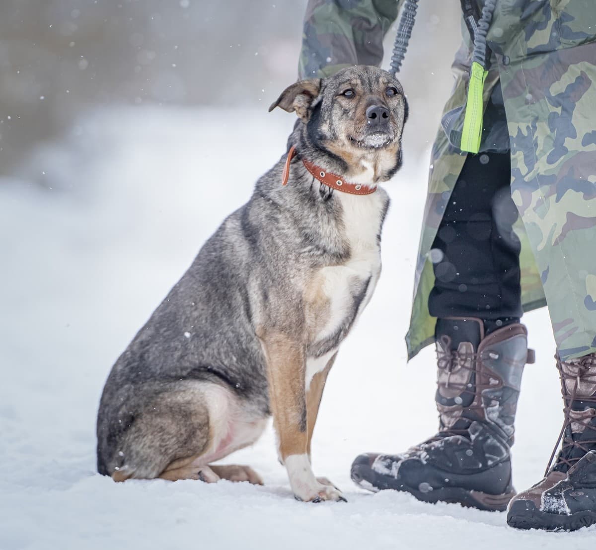 Мэри медиа 6